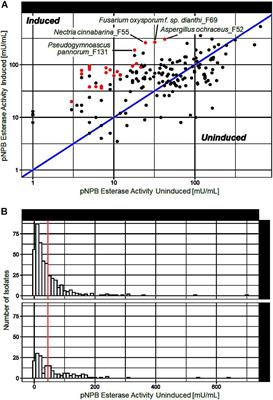 High Throughput Screening for New Fungal Polyester Hydrolyzing Enzymes